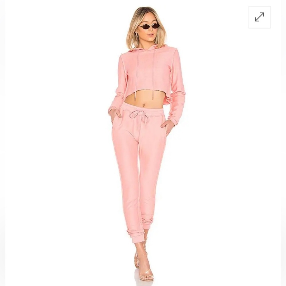 Danielle Guizio x Revolve Blush Pink Cropped Hoodie Sweatshirt Top XS